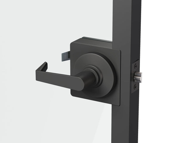 Black door handle and lock mechanism on a white background