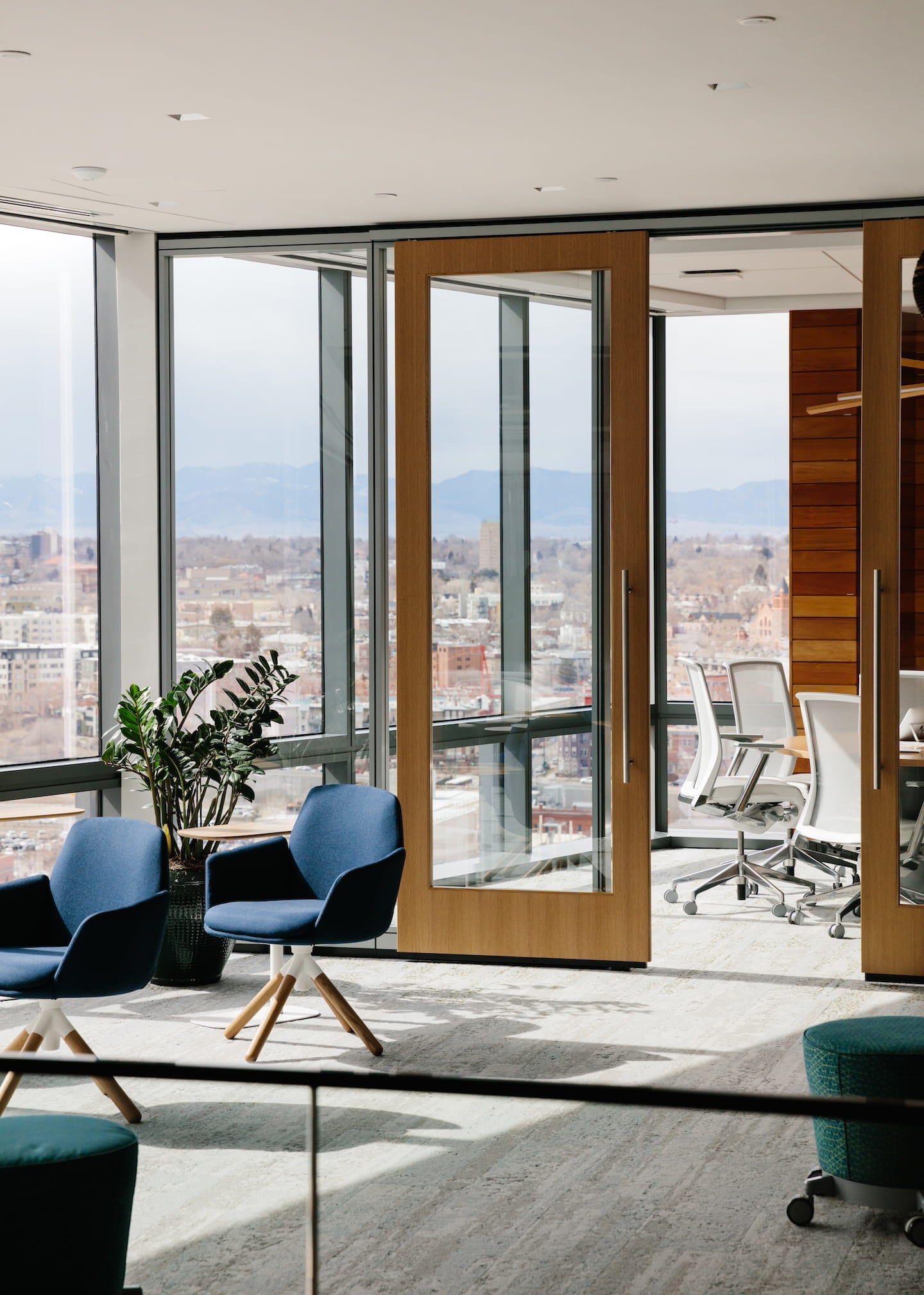 Modern office space with blue chairs, a plant, and large windows overlooking a cityscape.