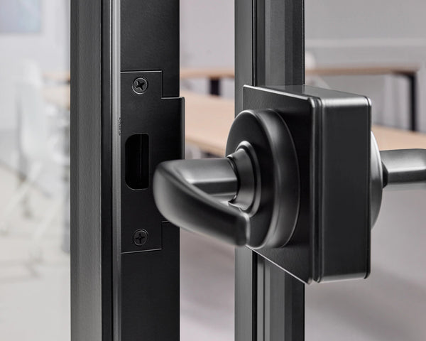 Close-up of a black door handle on a glass door