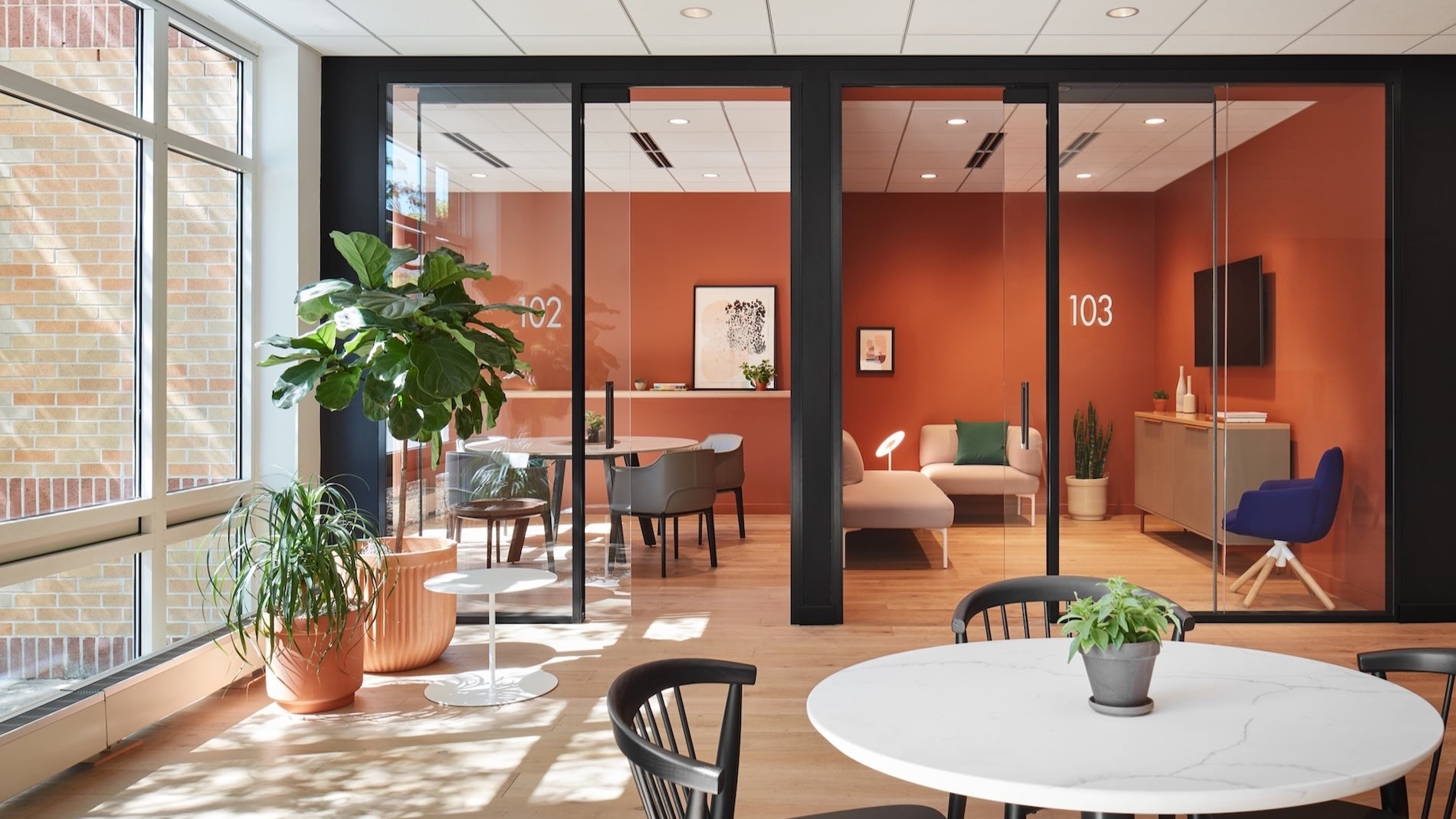 Modern office interior with glass walls, furniture, and plants.